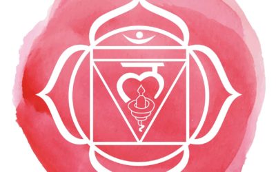 Chakra radice – Meditazione sul radicamento